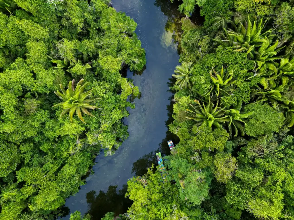 Amazonas-Regenwald mit Fluss von oben